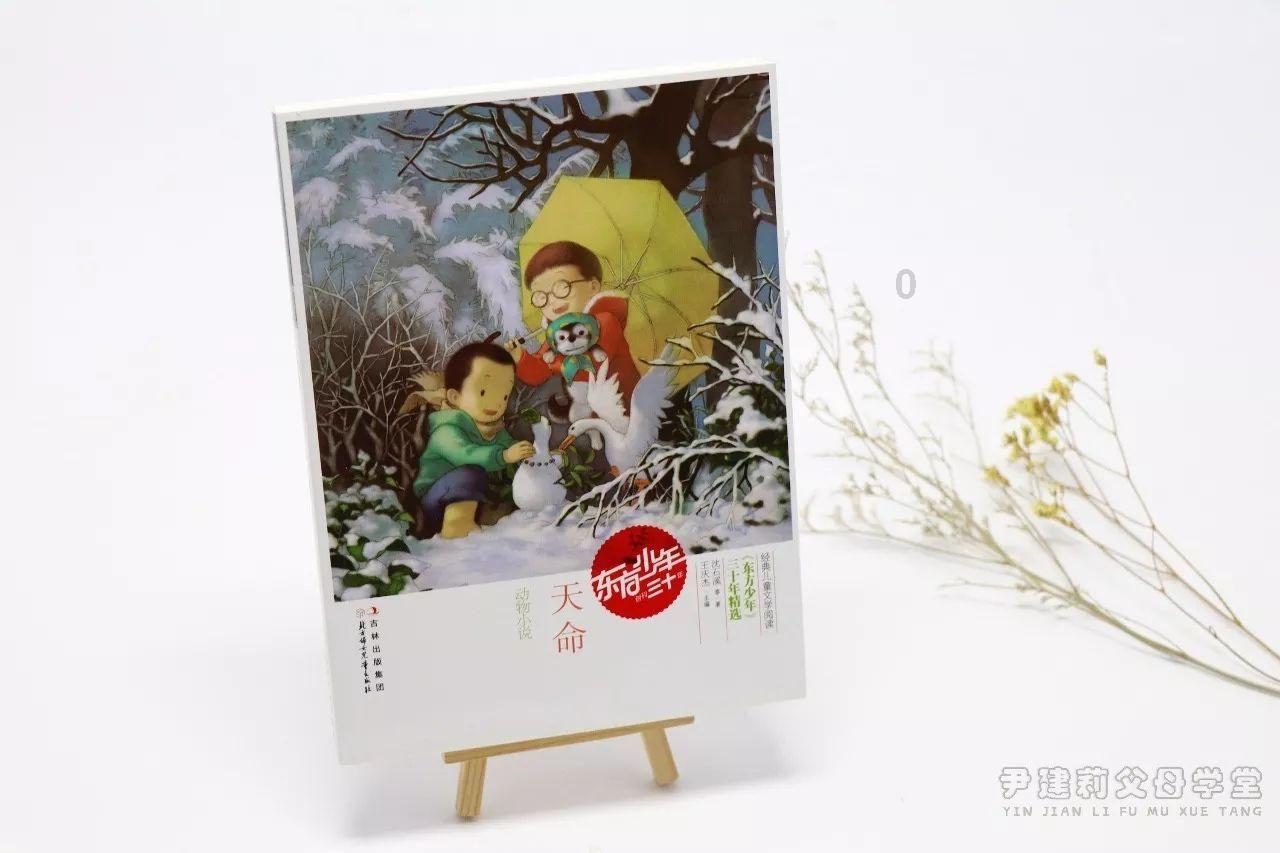 甜美奥莉的雪纺装