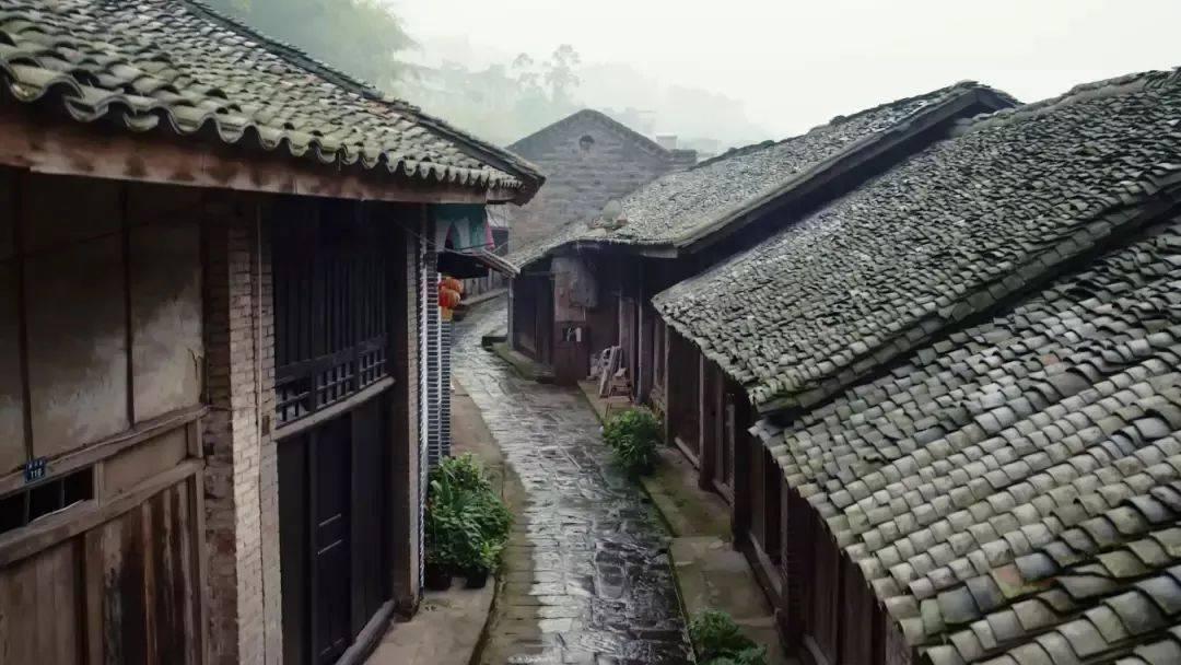 日常街拍